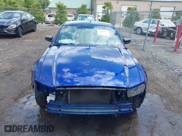 2013 Ford Mustang V6 with VIN 1ZVBP8AM4D5227735, listed as a IAAI auction lot 42395404 with 133,488 mi miles and . Bid and sale history available at DreamBid. Image 13.