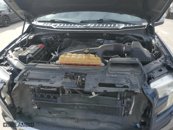 2016 Ford F-150 XLT with VIN 1FTEW1EG4GFD19618, listed as a Copart auction lot 48129025 with 172,461 mi miles and Salvage Title. Bid and sale history available at carsss.com. Image 12.