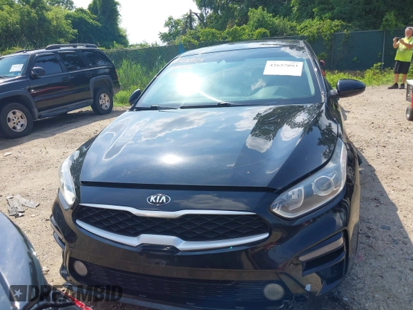 2019 Kia Forte LXS z VIN 3KPF24AD9KE131628, wystawiony jako IAAI lot #42657093 z przebiegiem 163 737 mil mil oraz . Historia ofert i sprzedaży dostępna na DreamBid. Obrazek 12.