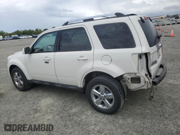 2010 Ford Escape Limited with VIN 1FMCU0E74AKC89196, listed as a Copart auction lot 50990585 with 144,830 mi miles and Salvage title. Bid and sale history available at DreamBid. Image 2.