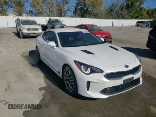 2019 Kia Stinger with VIN KNAE15LA5K6051365, listed as a Copart auction lot 74068034 with 106,590 mi miles and Salvage Title. Bid and sale history available at carsss.com. Image 10.