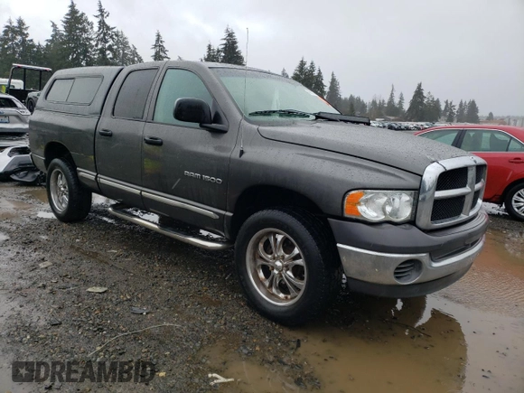 2002 Dodge 1500 with VIN 3D7HU18N72G165352, listed as a Copart auction lot 46918575 with Not Provided miles and Salvage Title. Bid and sale history available at carsss.com. Image 4.