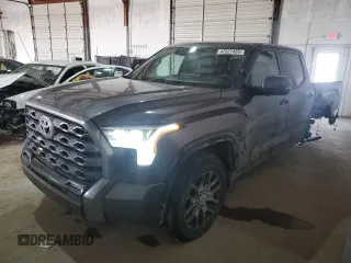 2023 Toyota Tundra Platinum with VIN 5TFNA5DBXPX120272, listed as a Copart auction lot 42527455 with 41,515 mi miles and Salvage title. Bid and sale history available at DreamBid. Image 1.