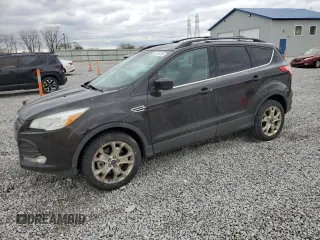 2013 Ford Escape SE with VIN 1FMCU9G97DUC60299, listed as a Copart auction lot 53246125 with 153,861 mi miles and Clean Title. Bid and sale history available at DreamBid. Image 1.