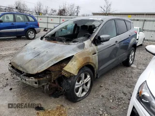 2014 Ford Escape SE с VIN 1FMCU9GX5EUC08895, выставлен на аукционе Copart как лот 77551283 с пробегом Не указан миль и Списание • Salvage title. История ставок и продаж доступна на DreamBid. Изображение 1.