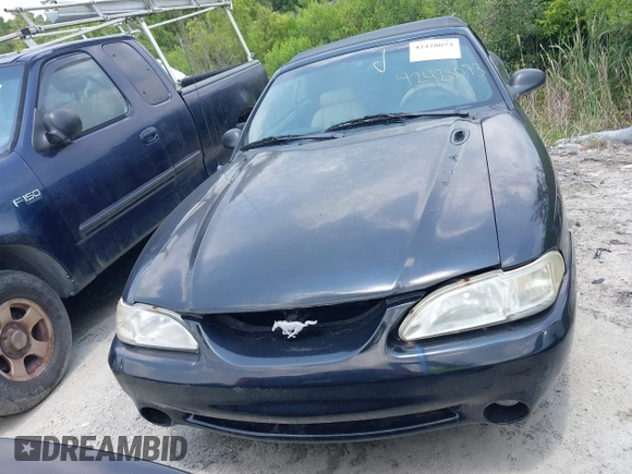 1998 Ford Mustang with VIN 1FAFP4442WF252712, listed as a IAAI auction lot 42428073 with 118,477 mi miles and . Bid and sale history available at DreamBid. Image 6.