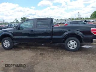 2013 Ford F-150 XL с VIN 1FTFW1EF3DFC14916, выставлен на аукционе IAAI как лот 42343813 с пробегом 217 069 миль миль и . История ставок и продаж доступна на DreamBid. Изображение 14.