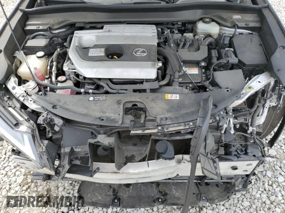 2019 Lexus UX 250h with VIN JTHU9JBH1K2000806, listed as a Copart auction lot 58068005 with 69,661 mi miles and Salvage title. Bid and sale history available at DreamBid. Image 11.