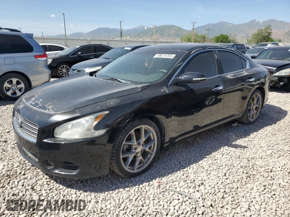 2010 Nissan Maxima SV with VIN 1N4AA5AP7AC858212, listed as a Copart auction lot 58615705 with Not provided miles and Clean title. Bid and sale history available at DreamBid. Image 1.
