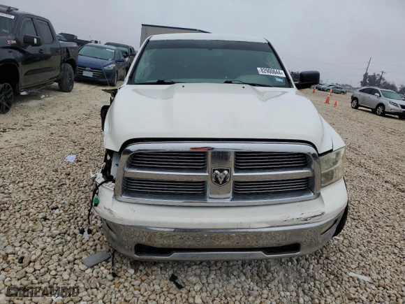 2009 Dodge Ram 1500 SLT with VIN 1D3HB13T19S703530, listed as a Copart auction lot 82900644 with 0 mi miles and Clean Title. Bid and sale history available at carsss.com. Image 5.