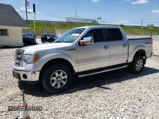 2013 Ford F-150 XL with VIN 1FTFW1EF5DFC77791, listed as a Copart auction lot 56161675 with 115,820 mi miles and Salvage Title. Bid and sale history available at DreamBid. Image 1.