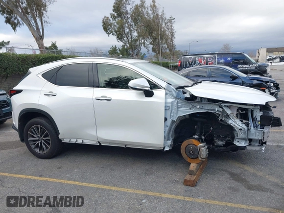 2024 Lexus NX 250 with VIN JTJADCAZ4R2013677, listed as a IAAI auction lot 41548654 with 24,564 mi miles and . Bid and sale history available at DreamBid. Image 14.