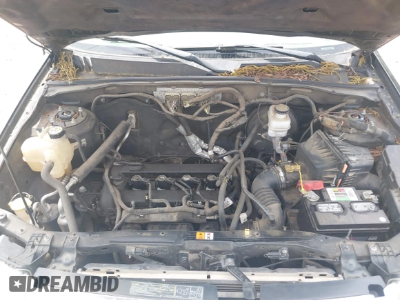 2010 Ford Escape XLS с VIN 1FMCU0C75AKC14767, выставлен на аукционе IAAI как лот 42265406 с пробегом 191 482 миль миль и . История ставок и продаж доступна на DreamBid. Изображение 10.