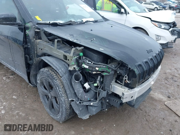 2017 Jeep Cherokee Limited with VIN 1C4PJMDS7HW569502, listed as a IAAI auction lot 41341243 with 80,261 mi miles and . Bid and sale history available at DreamBid. Image 6.