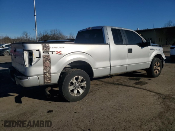 2013 Ford F-150 XL with VIN 1FTFX1EFXDFA08053, listed as a Copart auction lot 49723915 with 297,788 mi miles and Clean Title. Bid and sale history available at carsss.com. Image 3.
