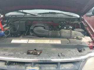 1997 Ford F-150 with VIN 1FTDF176XVNB00018, listed as a IAAI auction lot 42467851 with 217,082 mi miles and . Bid and sale history available at DreamBid. Image 12.