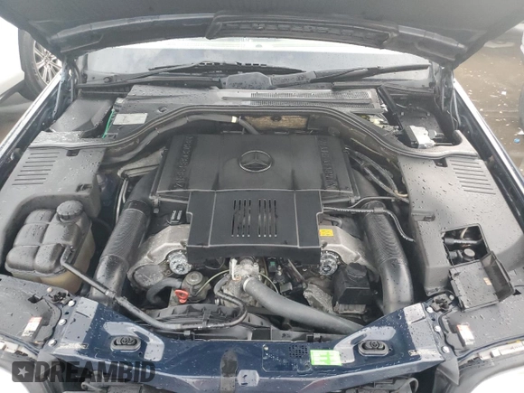 1999 Mercedes-Benz S-Class with VIN WDBGA51G8XA425456, listed as a Copart auction lot 74369624 with 0 mi miles and Non Repairable. Bid and sale history available at carsss.com. Image 11.