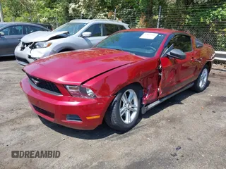 2010 Ford Mustang V6 с VIN 1ZVBP8AN7A5135555, выставлен на аукционе IAAI как лот 42065460 с пробегом 154 015 миль миль и . История ставок и продаж доступна на DreamBid. Изображение 2.