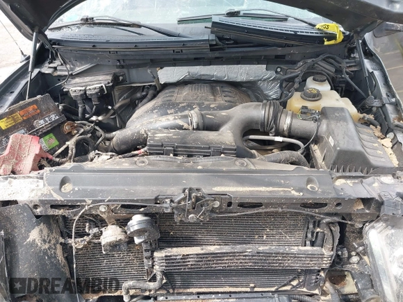 2012 Ford F-150 XL with VIN 1FTFW1ET5CFB55193, listed as a IAAI auction lot 42446598 with 132,596 mi miles and . Bid and sale history available at DreamBid. Image 10.