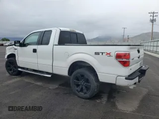 2010 Ford F-150 XL с VIN 1FTEX1E85AKE55051, выставлен на аукционе Copart как лот 56351815 с пробегом 161 481 миль миль и Списание • Salvage title. История ставок и продаж доступна на DreamBid. Изображение 2.