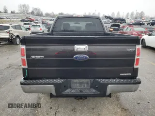 2013 Ford F-150 XL with VIN 1FTEX1EM3DFA07577, listed as a Copart auction lot 44247345 with 324,437 mi miles and Salvage title. Bid and sale history available at DreamBid. Image 6.