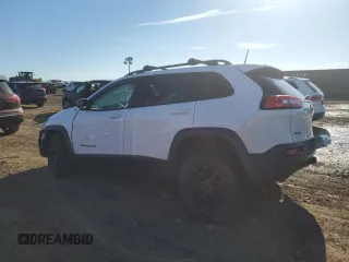 2017 Jeep Cherokee Trailhawk L Plus with VIN 1C4PJMBB3HW506965, listed as a Copart auction lot 82257594 with 106,571 mi miles and Salvage title. Bid and sale history available at DreamBid. Image 2.