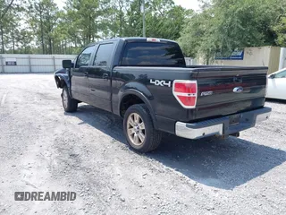 2009 Ford F-150 XL with VIN 1FTPW14V29FB49366, listed as a IAAI auction lot 42410024 with 216,076 mi miles and . Bid and sale history available at DreamBid. Image 3.