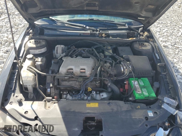 1999 Pontiac Grand Am SE2 with VIN 1G2NE52E2XM732523, listed as a Copart auction lot 75420684 with 124,110 mi miles and Salvage Title. Bid and sale history available at carsss.com. Image 13.