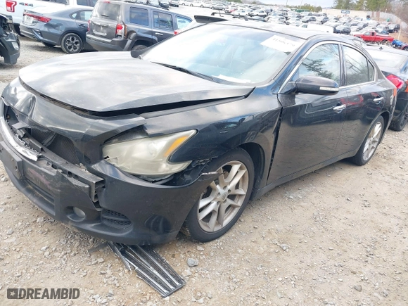 2011 Nissan Maxima 3.5 SV with VIN 1N4AA5AP0BC851314, listed as a IAAI auction lot 41506379 with 195,985 mi miles. Bid and sale history available at carsss.com. Image 2.