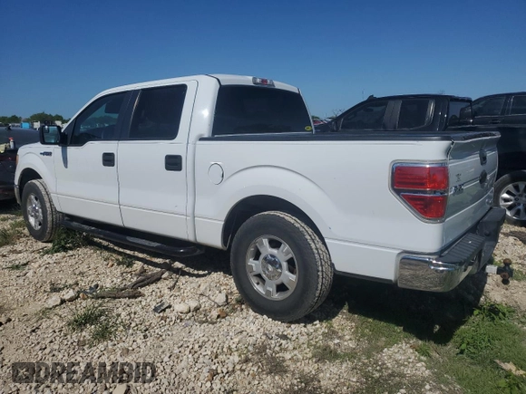 2011 Ford F-150 XL with VIN 1FTEW1CM0BFB75325, listed as a Copart auction lot 52133225 with 133,975 mi miles and Clean Title. Bid and sale history available at DreamBid. Image 2.