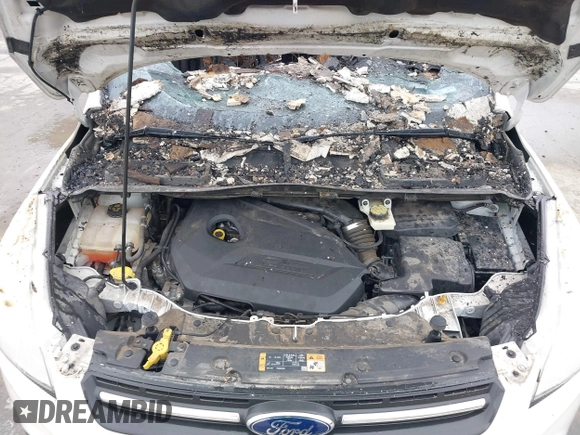 2014 Ford Escape SE с VIN 1FMCU0GX0EUA84076, выставлен на аукционе IAAI как лот 41534820 с пробегом Не указан миль и . История ставок и продаж доступна на DreamBid. Изображение 10.