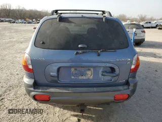 2003 Hyundai Santa Fe GLS with VIN KM8SC73D03U441496, listed as a Copart auction lot 49159235 with 183,385 mi miles and Salvage Title. Bid and sale history available at carsss.com. Image 6.