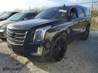 2018 Cadillac Escalade Platinum with VIN 1GYS3DKJ3JR318408, listed as a Copart auction lot 76171764 with 0 mi miles and Non Repairable. Bid and sale history available at carsss.com. Image 1.