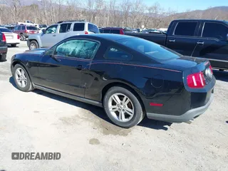 2011 Ford Mustang V6 with VIN 1ZVBP8AM2B5153163, listed as a IAAI auction lot 41645917 with 286,609 mi miles and . Bid and sale history available at carsss.com. Image 3.