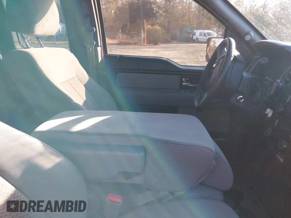 2013 Ford F-150 XL with VIN 1FTEX1CM9DFA85591, listed as a IAAI auction lot 41421995 with 171,903 mi miles. Bid and sale history available at carsss.com. Image 5.