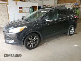 2013 Ford Escape SEL with VIN 1FMCU0HX1DUB83342, listed as a Copart auction lot 52482145 with 123,702 mi miles and Salvage Title. Bid and sale history available at carsss.com. Image 1.