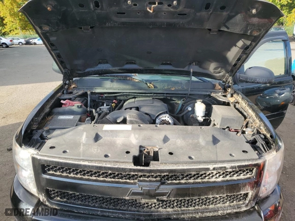 2009 Chevrolet Silverado 1500 LS with VIN 3GCEK13C59G123717, listed as a Copart auction lot 74533194 with 189,631 mi miles and Clean Title. Bid and sale history available at carsss.com. Image 11.