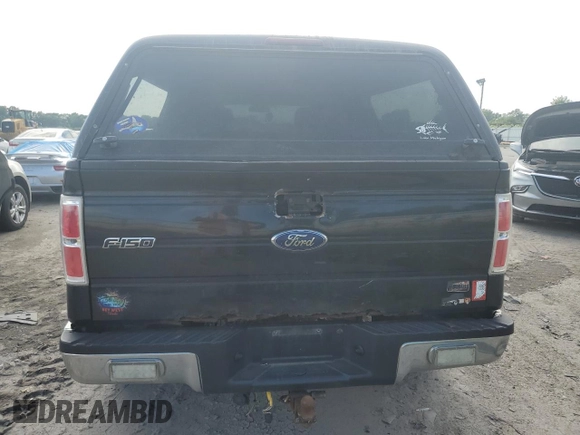 2010 Ford F-150 XL with VIN 1FTEX1C86AFD96491, listed as a Copart auction lot 62287115 with 283,496 mi miles and Clean title. Bid and sale history available at DreamBid. Image 6.