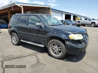 2007 Ford Escape Limited z VIN 1FMYU04137KA07206, wystawiony jako Copart lot #62421035 z przebiegiem 200 117 mil mil oraz Szkoda całkowita • Salvage title. Historia ofert i sprzedaży dostępna na DreamBid. Obrazek 4.