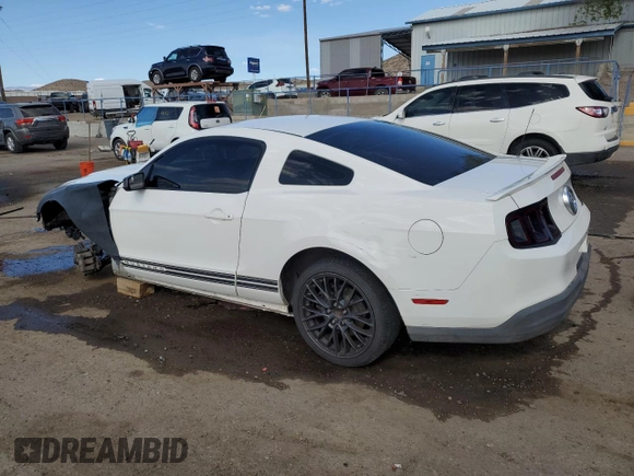 2010 Ford Mustang V6 with VIN 1ZVBP8AN8A5125021, listed as a Copart auction lot 55062725 with 163,880 mi miles and Salvage title. Bid and sale history available at DreamBid. Image 2.