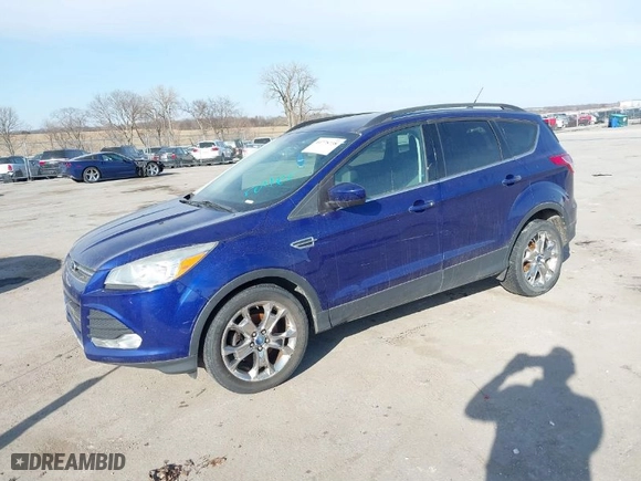 2014 Ford Escape SE with VIN 1FMCU0GX0EUB45748, listed as a IAAI auction lot 41778738 with 305,995 mi miles. Bid and sale history available at carsss.com. Image 2.