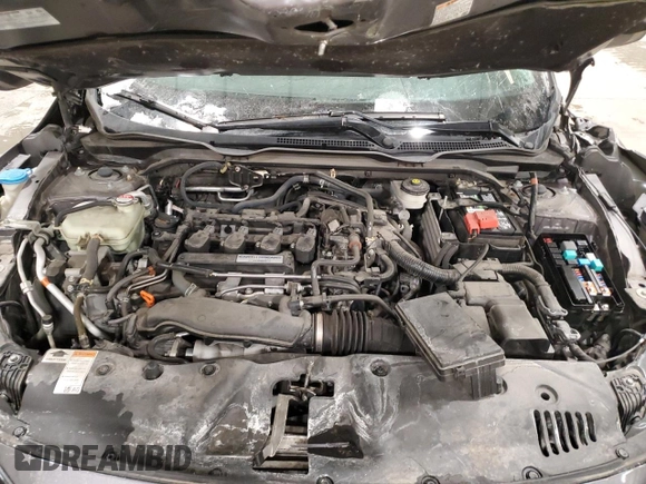 2019 Honda Civic Sedan EX with VIN 19XFC1F34KE016558, listed as a Copart auction lot 46137825 with 0 mi miles and Salvage Title. Bid and sale history available at carsss.com. Image 11.