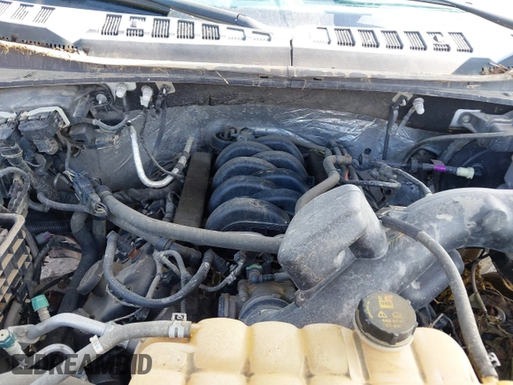 2017 Ford F-150 XL with VIN 1FTFX1EF1HFA58670, listed as a IAAI auction lot 42638878 with 73,401 mi miles and . Bid and sale history available at DreamBid. Image 10.