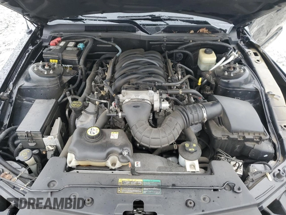 2006 Ford Mustang GT Deluxe z VIN 1ZVHT82H265242972, wystawiony jako Copart lot #55833205 z przebiegiem 53 375 mil mil oraz Szkoda całkowita • Salvage title. Historia ofert i sprzedaży dostępna na DreamBid. Obrazek 11.
