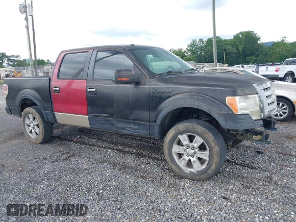 2009 Ford F-150 XL z VIN 1FTPW14V49KC59679, wystawiony jako IAAI lot #42524021 z przebiegiem 166 680 mil mil oraz . Historia ofert i sprzedaży dostępna na DreamBid. Obrazek 1.