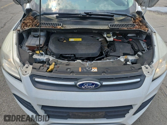 2016 Ford Escape SE с VIN 1FMCU9GX0GUB00929, выставлен на аукционе IAAI как лот 42503267 с пробегом 95 079 миль миль и . История ставок и продаж доступна на DreamBid. Изображение 41.