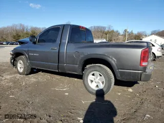 2002 Dodge Ram 1500 with VIN 1D7HA16N12J143907, listed as a Copart auction lot 43896005 with 0 mi miles and Salvage Title. Bid and sale history available at carsss.com. Image 2.