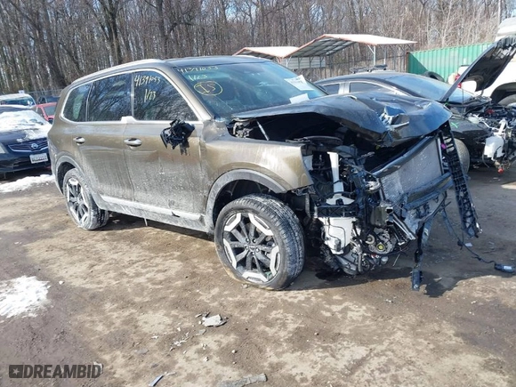 2024 Kia Telluride S with VIN 5XYP6DGCXRG526258, listed as a IAAI auction lot 41391053 with 6,055 mi miles. Bid and sale history available at carsss.com. Image 1.