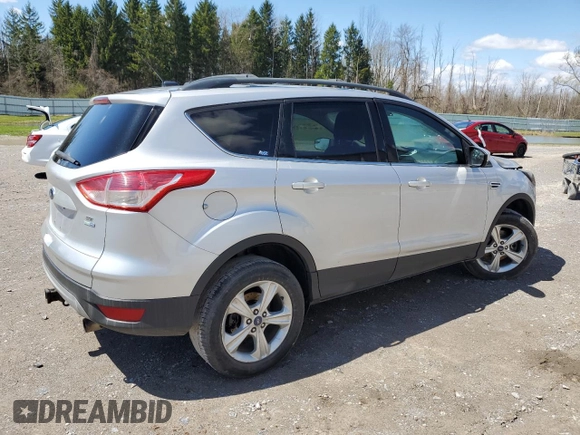 2013 Ford Escape SE with VIN 1FMCU9G95DUD07068, listed as a Copart auction lot 53940405 with 0 mi miles and Salvage Title. Bid and sale history available at carsss.com. Image 3.