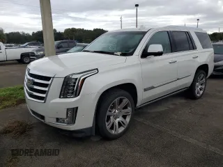 2018 Cadillac Escalade Premium Luxury with VIN 1GYS3CKJ0JR204313, listed as a Copart auction lot 75040294 with 70,179 mi miles and Non Repairable. Bid and sale history available at carsss.com. Image 1.